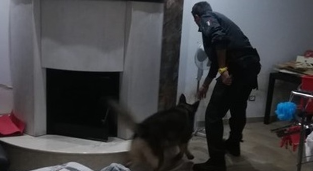 Operazione antidroga a Surbo: perquisizioni a tappeto con l'aiuto dei cani