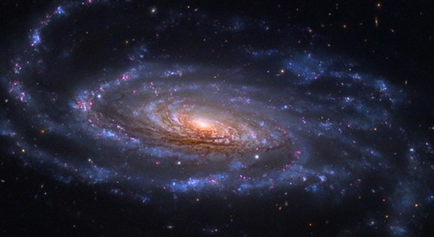 La galassia Ngc 5033