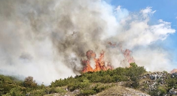L'Aquila, un altro incendio a Rocca di Mezzo: animali in fuga