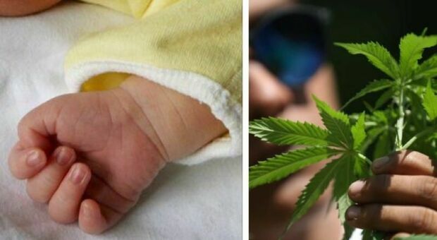 Bambina di un anno ingerisce droga: trovate tracce di marijuana, i genitori non danno spiegazioni