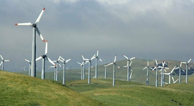 Parchi eolici, la Giunta regionale "boccia" quattro progetti: stop a 33 generatori tra Foggia e Brindisi