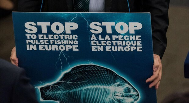 Corte Ue conferma stop a pesca elettrica