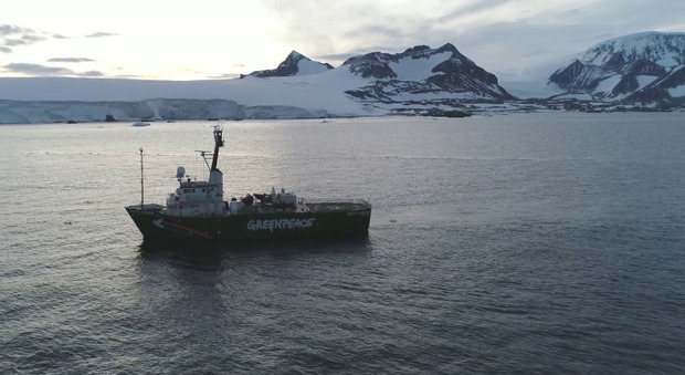 Greenpeace trova sostanze nocive e microplastiche nell'Antartide