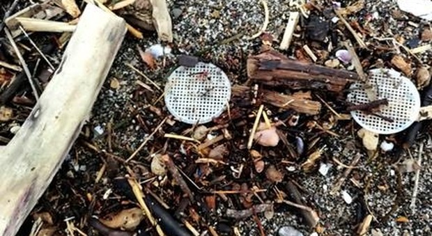 Dischetti di plastica sulle spiagge: risolto il mistero, ecco cosa sono
