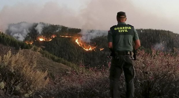 Spagna, non si placa l'incendio alle Canarie: 1000 persone evacuate e migliaia di ettari devastati