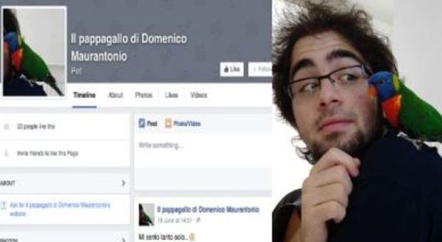 Domenico, su Fb si ride del suo dramma: la pagina choc
