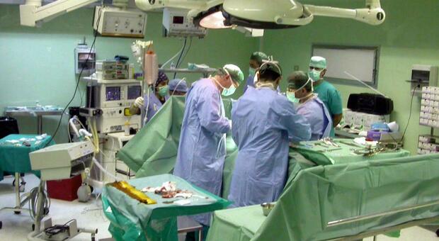 Donazione multiorgano al Fazzi di Lecce: prelevati fegato, reni e cornee