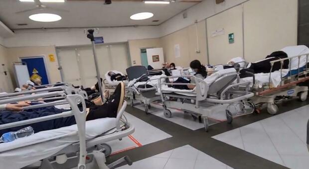 Blitz dei Nas nell'ospedale Cardarelli di Napoli, ecco il dossier: sicurezza e igiene a rischio