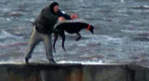Cani seviziati: appesi a una corda, costretti ad immergersi nelle acque gelide