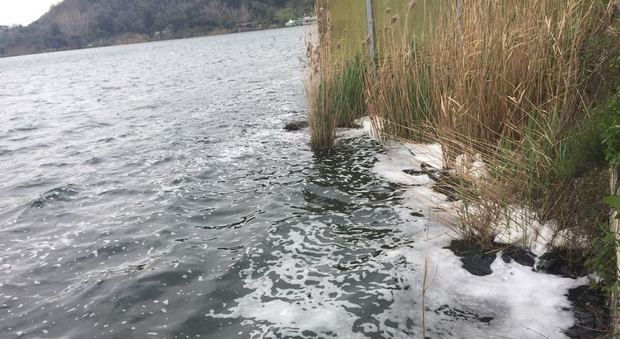 Schiuma bianca nel Lago d'Averno, interviene l'Arpac: «Mai vista prima»