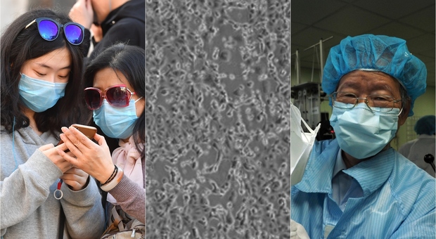 Coronavirus, l'Oms: «Nessun contagio in nuovi Paesi». A Wuhan isolati anche i casi sospetti