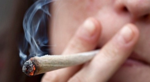 Cercasi fumatori di cannabis