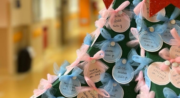 L'Aquila, l'albero di Natale delle ostetriche con i nomi di tutti i bambini nati