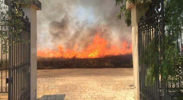Incendi: Puglia e Sud devastati. Coldiretti: «Danni per 15 anni, il 60% dei roghi è doloso». Nuova ondata di caldo africano