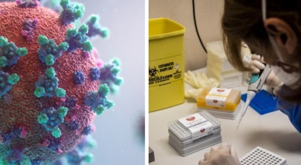 Primo esperimento mondiale: 90 volontari contagiati per capire quanto virus serve per infettare