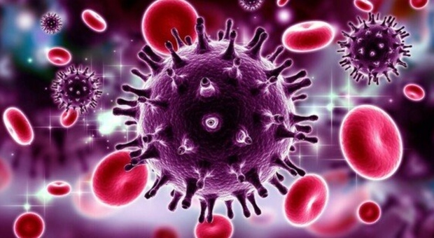 Aids, sieropositivo guarisce dall'Hiv dopo il trampianto di midollo per la leucemia: «Svolta nella lotta alla malattia»