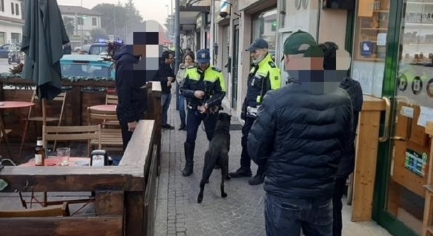Controlli a San Liberale e in via Terraglio, la polizia locale di Treviso nei quartieri con il cane Luke: trovato dell'hashish