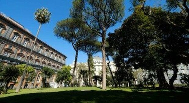 Napoli, defibrillatori a Palazzo reale: il dono dei chirurghi dei trapianti