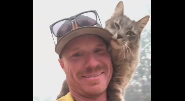 Pompiere lo salva dall'incendio in California, il gatto non vuole più lasciarlo