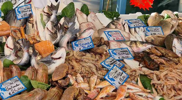 Mercato del pesce e concorrenza sleale a Latina e Cisterna, ai domiciliari Maurizio De Santis