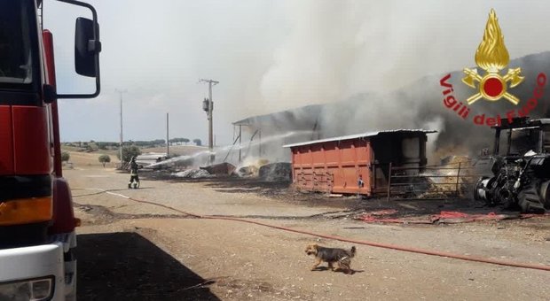Divampa un incendio in un capannone sulla via Ardeatina: messi in salvo gli animali