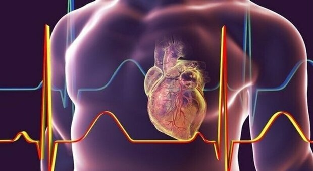 Napoli capitale della medicina: al via alla Federico II il XXIV Congresso Nazionale Giec sui rischi cardiocircolatori