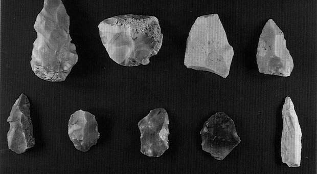 Scoperti in Kenya utensili di 2,9 milioni di anni fa (e non sono stati costruiti da un antenato dell'uomo)