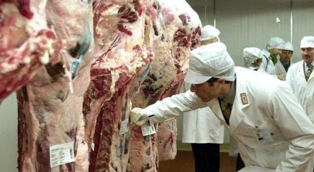 Ladri di carne restano congelati nel frigo dopo il colpo: arrestati