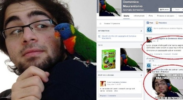 Domenico, gruppo choc su Facebook: «Il pappagallo si sente solo»