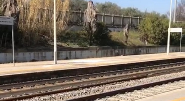 Attraversa i binari, travolta dal treno merci alla stazione di Alba: muore una 40enne. Il corpo non ancora identificato