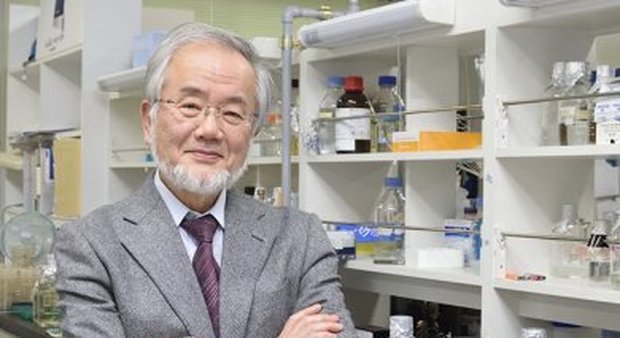 Il Nobel per la medicina al giapponese Ohsumi: scoprì i meccanismi dell'autofagia