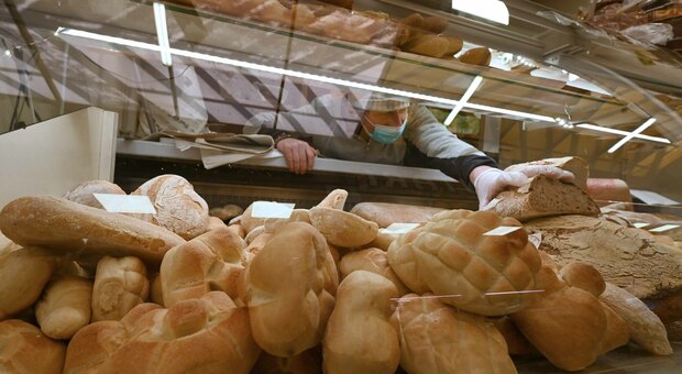 Giornata mondiale del pane: dalla bontà in tavola all'aumento dei prezzi