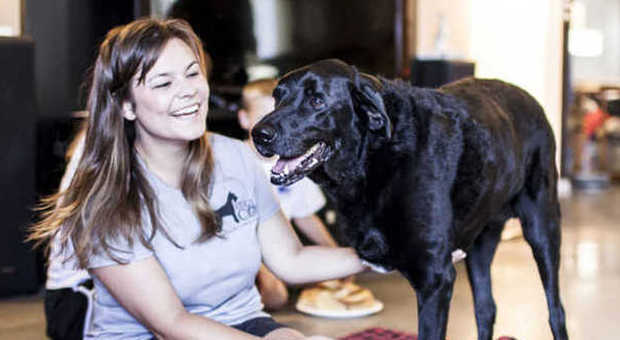 L'ultimo giorno di vita di Duke, il Labrador malato di cancro, prima dell'eutanasia