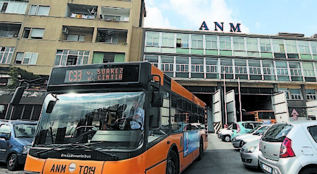 Pasticcio documenti, l'Anm perde i 38 bus pagati dalla Regione