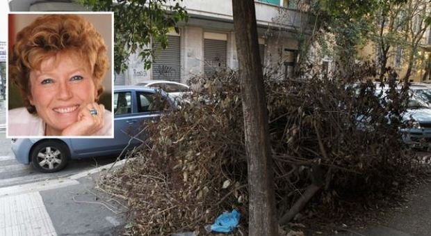 Roma, dopo l'“urletto” di Dacia Maraini rimosso l'albero caduto da mesi