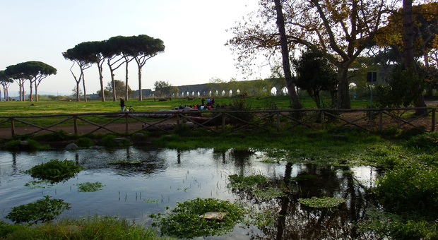Roma, nessuno vuole il fieno dei parchi: il Campidoglio dovrà fare un nuovo bando