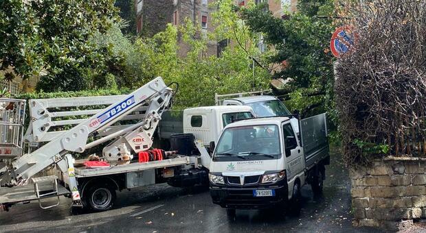 Roma, albero caduto in mezzo alla strada: traffico bloccato