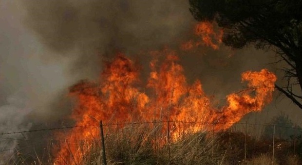 Appicca incendio in un campo agricolo, arrestato