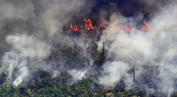 Amazzonia, Bolsonaro invia l'esercito per domare gli incendi