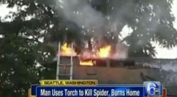 Voleva uccidere un ragno con spray e accendino: "Ha dato fuoco a tutta la casa"