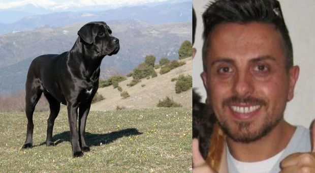 Sbranato a morte dal suo stesso cane, l'amico più fedele: trovato dalla moglie in una pozza di sangue