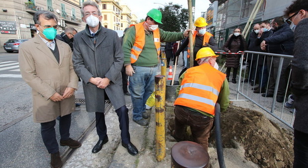 Napoli, piantati i primi nuovi alberi: «Ma servono più agronomi»