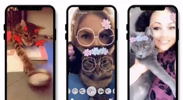 Snapchat, arrivano i filtri per il gatto: «Provali miagolando». Ecco come attivarli