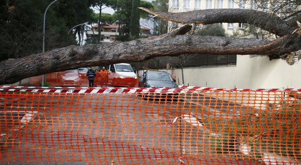 immagine Il vento sferza Roma: 200 interventi dei pompieri, piazza Annibaliano irraggiungibile. Chiude outlet Castelromano