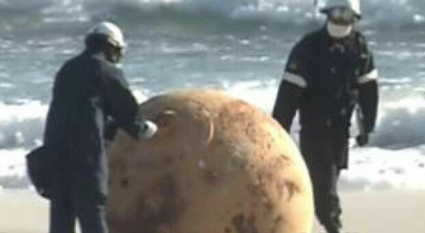 Palla di ferro in Giappone, svelato il mistero della sfera metallica arenata in spiagga: «Era solo una boa»
