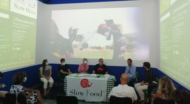 Slow food, nel borgo di Ischia Ponte la presentazione della Guida slow olive