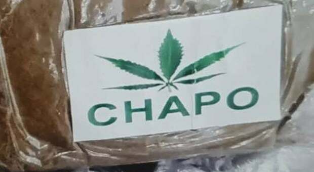 Maxi blitz antidroga, sequestrati 85 chili di stupefacenti nel Napoletano: hashish con il logo El Chapo