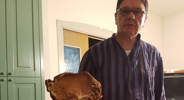 Sant'Angelo in Vado, non solo tartufi: l'avvocato trova un porcino da record nel bosco