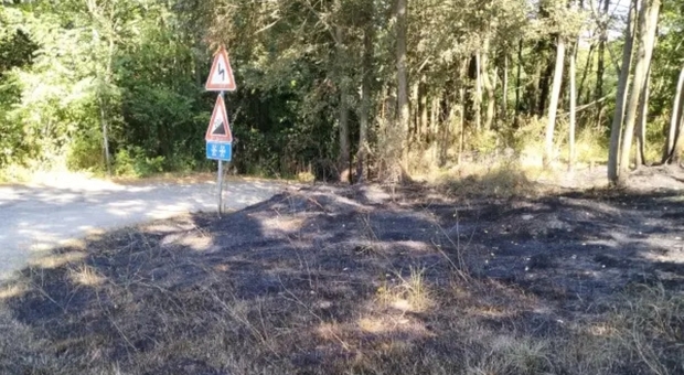 L'area incendiata in contrada Starnelle (PH P. Alviti)