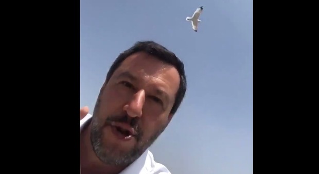 Rifiuti, Salvini attacca il comune di Roma: «Togliete l'immondizia dalla strada, ci sono mostri non gabbiani». E posta il video